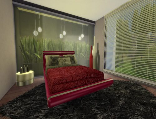 Modern Aracaia