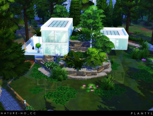 Nature (No CC)