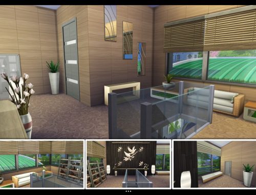Eco Vista