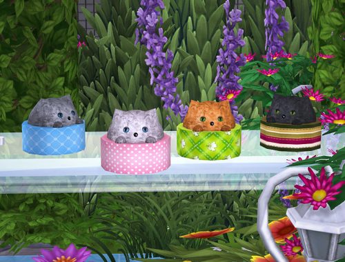 Kittens