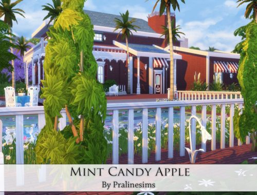 Mint Candy Apple