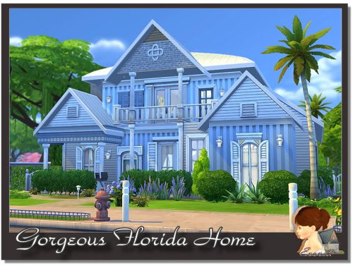 Gorgeous Florida Home