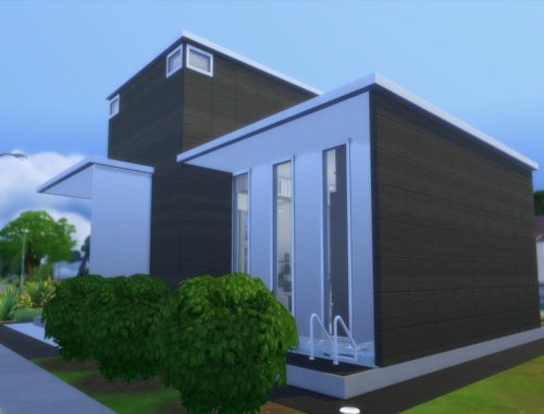 Modern Zandria