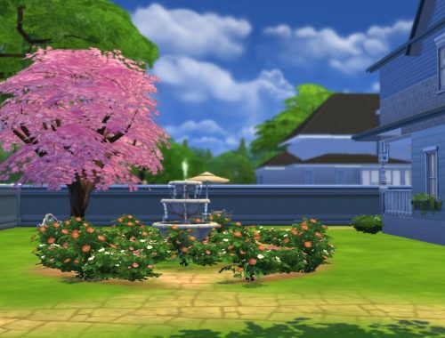 Chamomile Garden