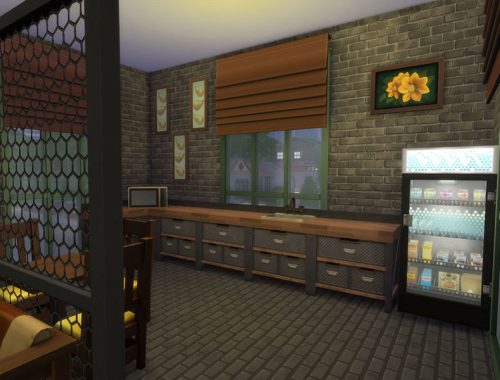 The Gem Store
