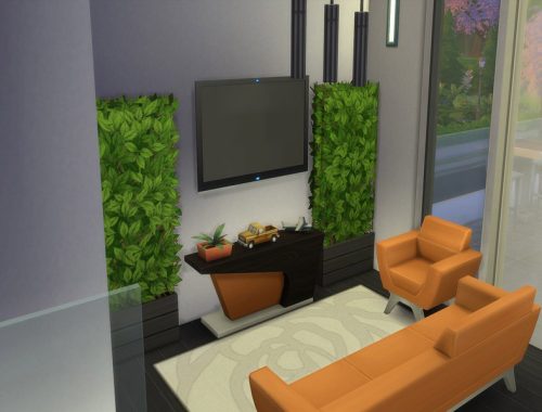 Blue Bird Modern House