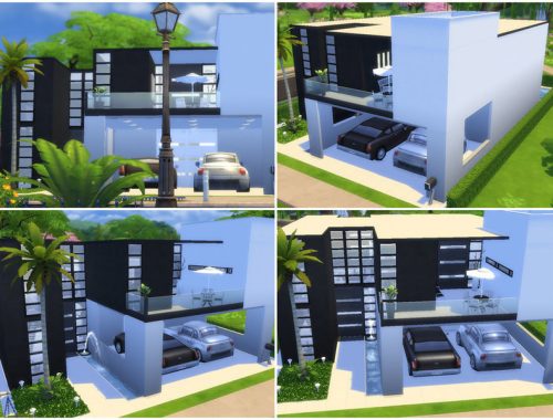 NewCrest B&W Series | 05 - Modern House