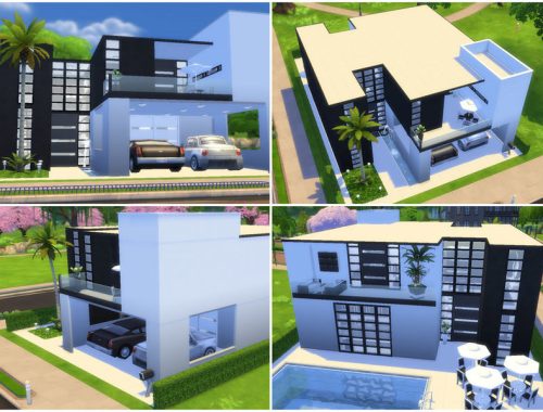 NewCrest B&W Series | 05 - Modern House