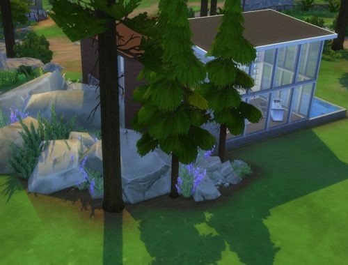 Vacation Home