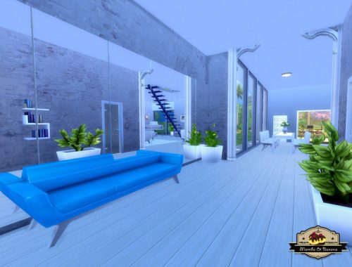 Blue Street (No CC)