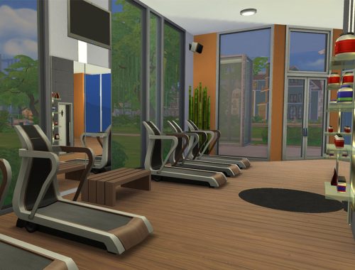 Contemporary Fitness and Spa