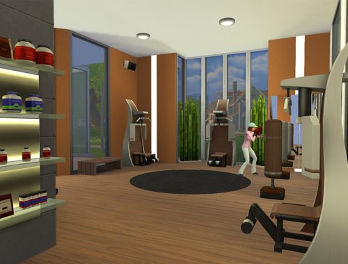 Contemporary Fitness and Spa