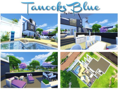 Tanooks Blue