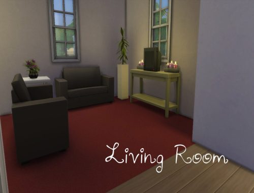 Cute Starter Loft -- No CC