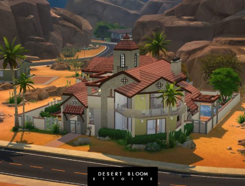 Desert Bloom