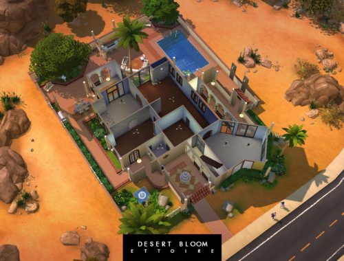 Desert Bloom