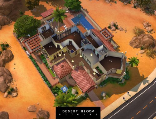 Desert Bloom