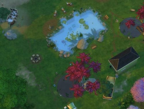 LilyPad Lake..... a Swimmable Lake