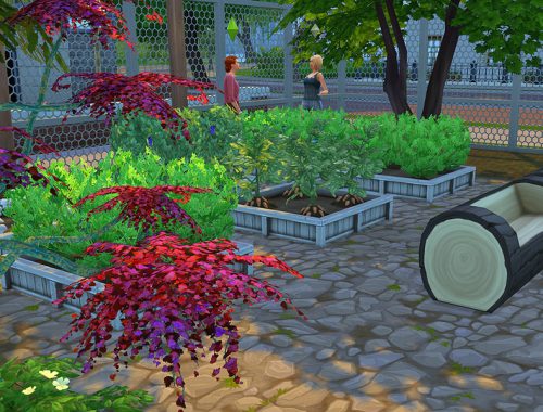 PÁpiniÁre Chez Blouss - Plants Store - No CC