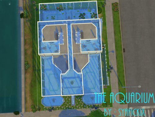 The Aquarium