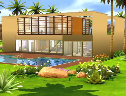 Tropical Peach
