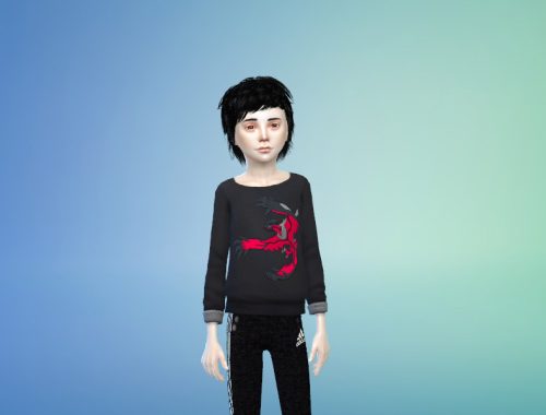 Pokumon Sweaters for kids