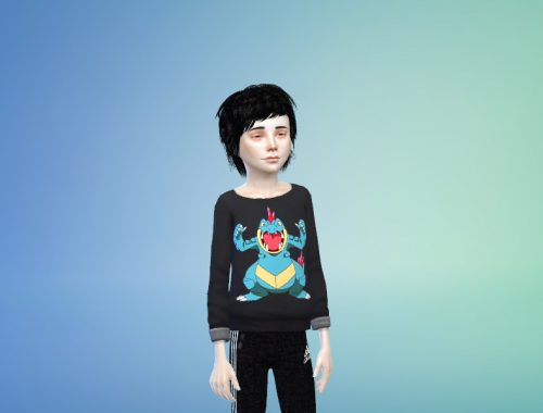 Pokumon Sweaters for kids