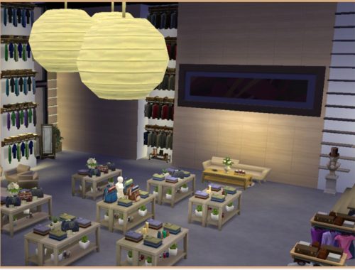 Chique Boutique (Museum)