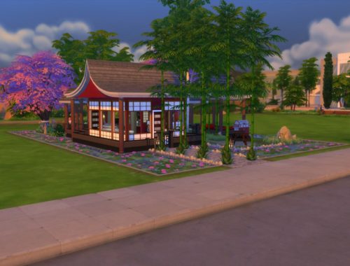 The Japanese Honeymoon (NO CC)