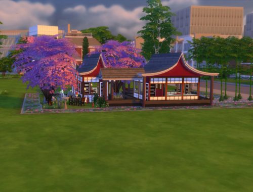 The Japanese Honeymoon (NO CC)