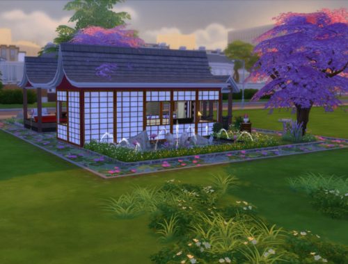 The Japanese Honeymoon (NO CC)