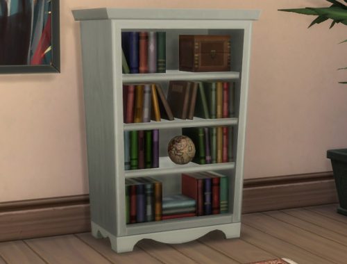 Sophisticated Bookcase