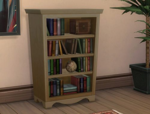 Sophisticated Bookcase