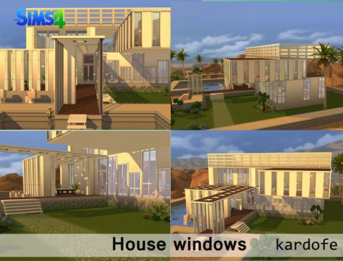 House windows