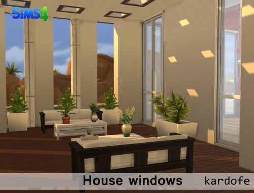 House windows