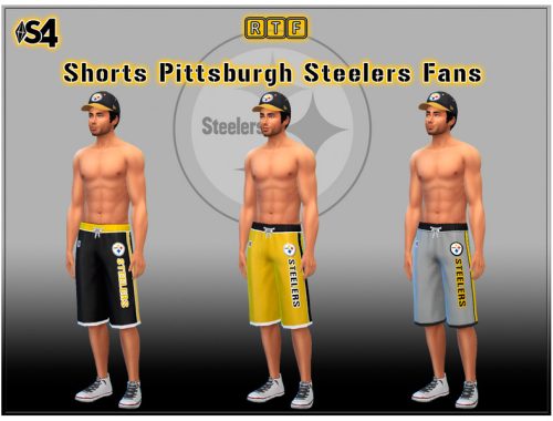 Set Pittsburgh Steelers Fans