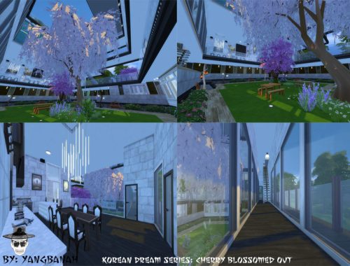 Korean Dream Series: Cherry Blossomed Out