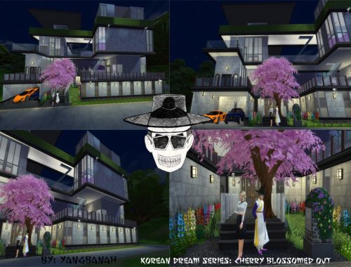 Korean Dream Series: Cherry Blossomed Out