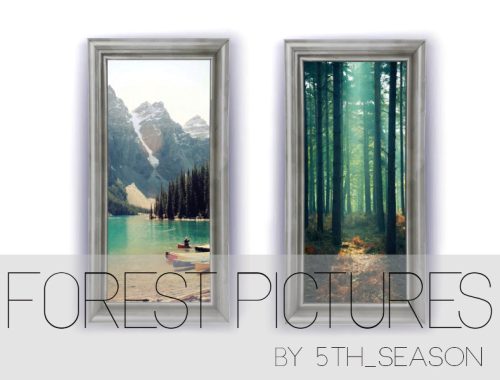 Forest Pictures