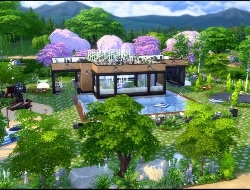 Blossom Trail Park