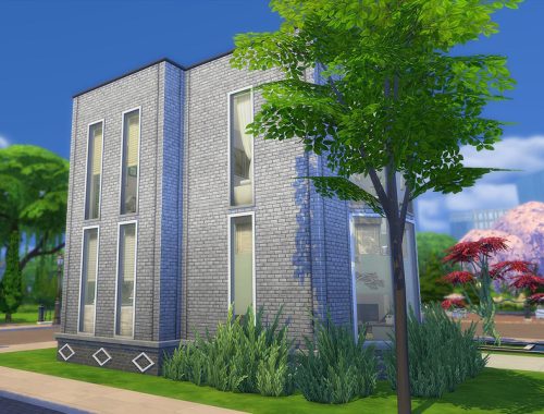 Macedo Loft