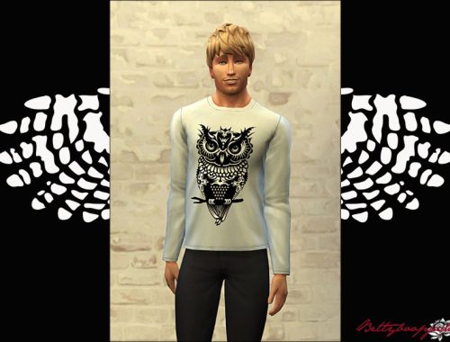 Tribal Owl