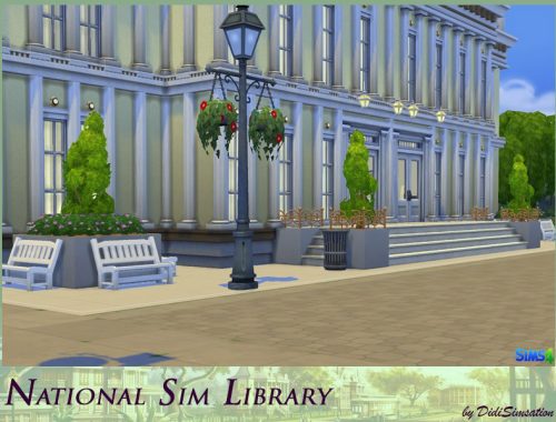 National Sim Library