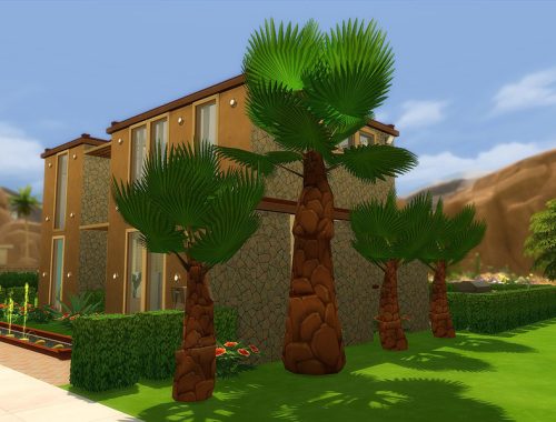 Painter's Cabana