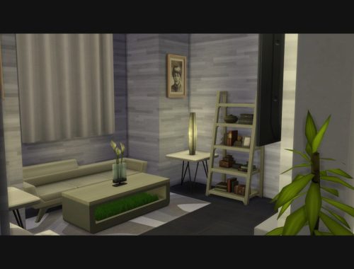 PalmCastle Modern House