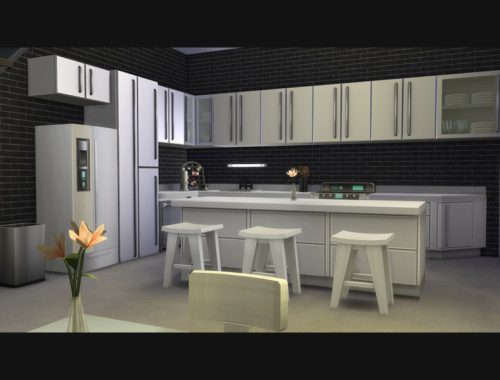 PalmCastle Modern House