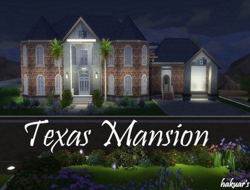 Texas Mansion(Unfurnished)