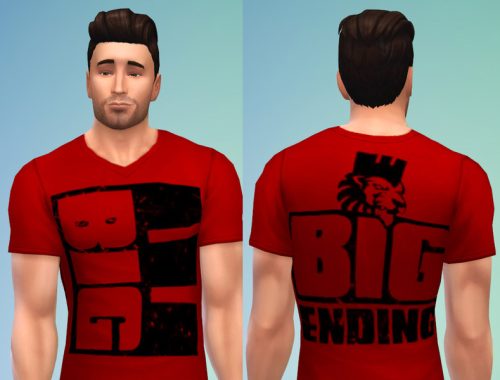 WWE Shirts Set 4