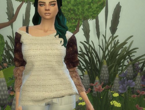 Crooked Top Recolour - mesh needed