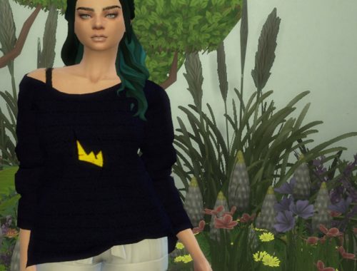 Crooked Top Recolour - mesh needed